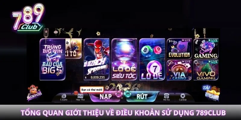 Tổng quan giới thiệu về điều khoản sử dụng 789Club